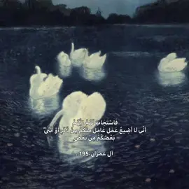 فَاسْتَجَابَ لَهُمْ رَبُّهُمْ أَنِّي لَا أُضِيعُ عَمَلَ عَامِلٍ مِنْكُمْ مِنْ ذَكَرٍ أَوْ أُنْثَىٰ ۖ بَعْضُكُمْ مِنْ بَعْضٍ  آل عمران-195 . #صِدقه_جاريه #لا_إله_إلا_الله #استغفار #قران_كريم #سبحان_الله_وبحمده_سبحان_الله_العظيمم #اشهد_ان_لا_اله_الا_الله_وان_محمد_رسول_ #أذكار #الله_يَفرحُ_بتوَبه_عبدهُ౨ৎ #صدقه_جاريه_لي_ولكم #استغفرلله_العضيم_وأتوبُ_اليه #أذكار #اذكروا_الله_يذكركم 