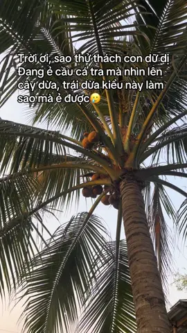 Cái này được lên xu hướng là hài lắm nè🤣#2025 #hàihước #xuhuong #xh 
