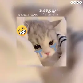 មនុស្សល្អ