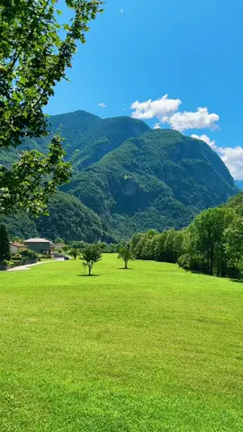What a beauty 🌳🌳🌳 #swiss #landscape #beauty #nature 