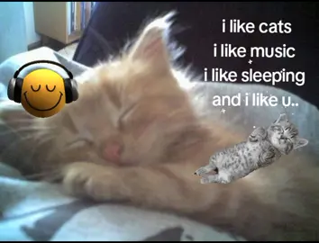 uhmm #miaw #brainrot #catlover #lovemusic #sleeping #sleepover #kucinglucu #fyp #4u #foryoupage #relatable #kucingtiktok #goodthing #xybca #kiyasikma #skibidi #sigma 