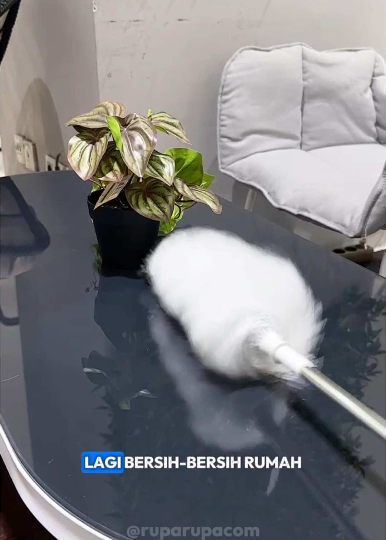 Proclean Kemoceng Elektrik ini super multifungsi, bantu kamu bebersih rumah jadi lebih mudah!✨ Langsung aja check out 10605850 di ruparupa!🧡💙 #ruparupa #ruparupacom #BikinBeres #Kemoceng #BeliKemoceng #KemocengElektrik #AlatKebersihan #Foryou #fyp 