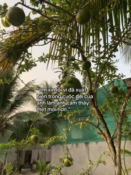 #fyppppppppppppppppppppppp #xyzabc #tiktok #tinhcam #tinhyeu #xuhuongtiktok #chiyeuminhanh #xuhuong 