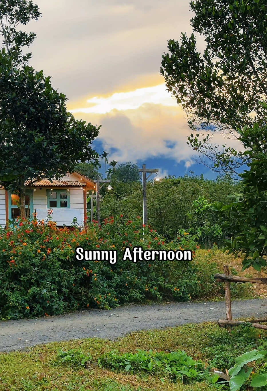 Tôi đang hít thở không khí của ánh chiều tà. Nhẹ nhàng, bình yên và xao xuyến 🌿 #chill #danang #xuhuong #binhyen #fyp #nongtrai #thefarmers #canhdep 