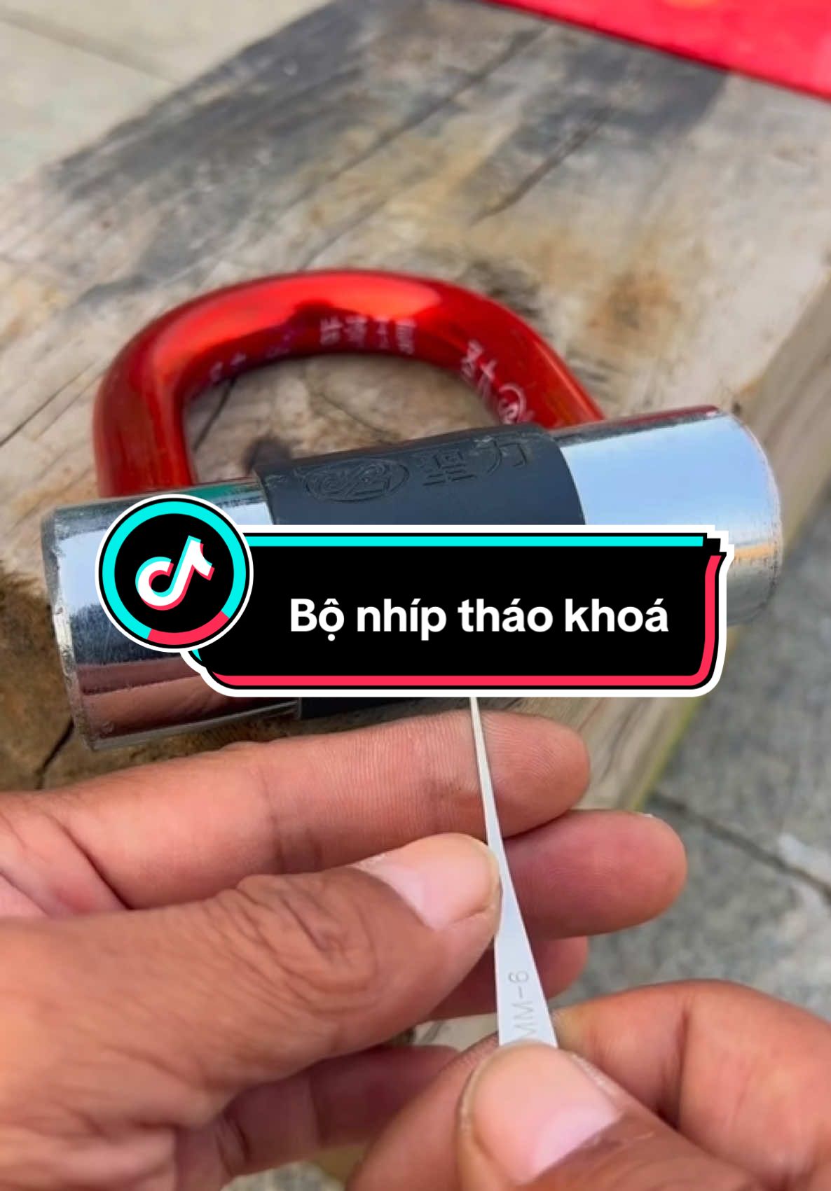 Bộ nhíp tháo chìa khóa 12 món #dodungtienich #bonhipthaokhoa #xuhuong 