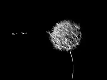 Lonely Day | System Of A Down. . . #viral #fypp #mulherdepreso🔓🕊👫💍 #fy #foryoupagе #fyp #lyrics_songs 