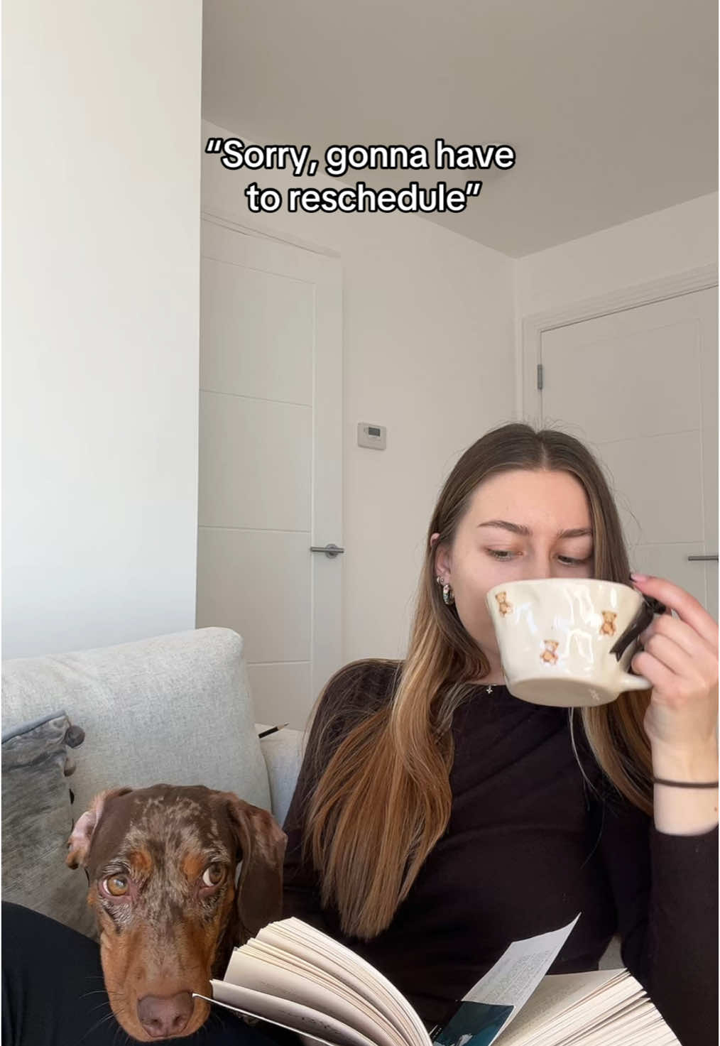 Don’t you worry about us 😅 #bookish #bookishhumor #BookTok #daschund #booksoftiktok #reading #booktokuk #cozyathome #bookishthings #ifwewerevillains #fantasybooktok #bookishgirl #bookworm 