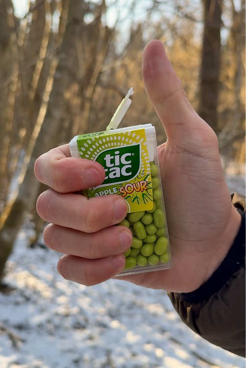 This Trick Keeps Your Matches 100% Dry! 🔥💡 #camping #survival #bushcraft #Outdoors #ideas #LifeHack 