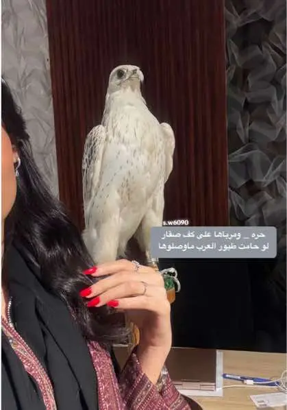 #fypシ゚ #fypシ゚viral #ترند #مودل #fyp #ثقيف #صقر #شيهانه 