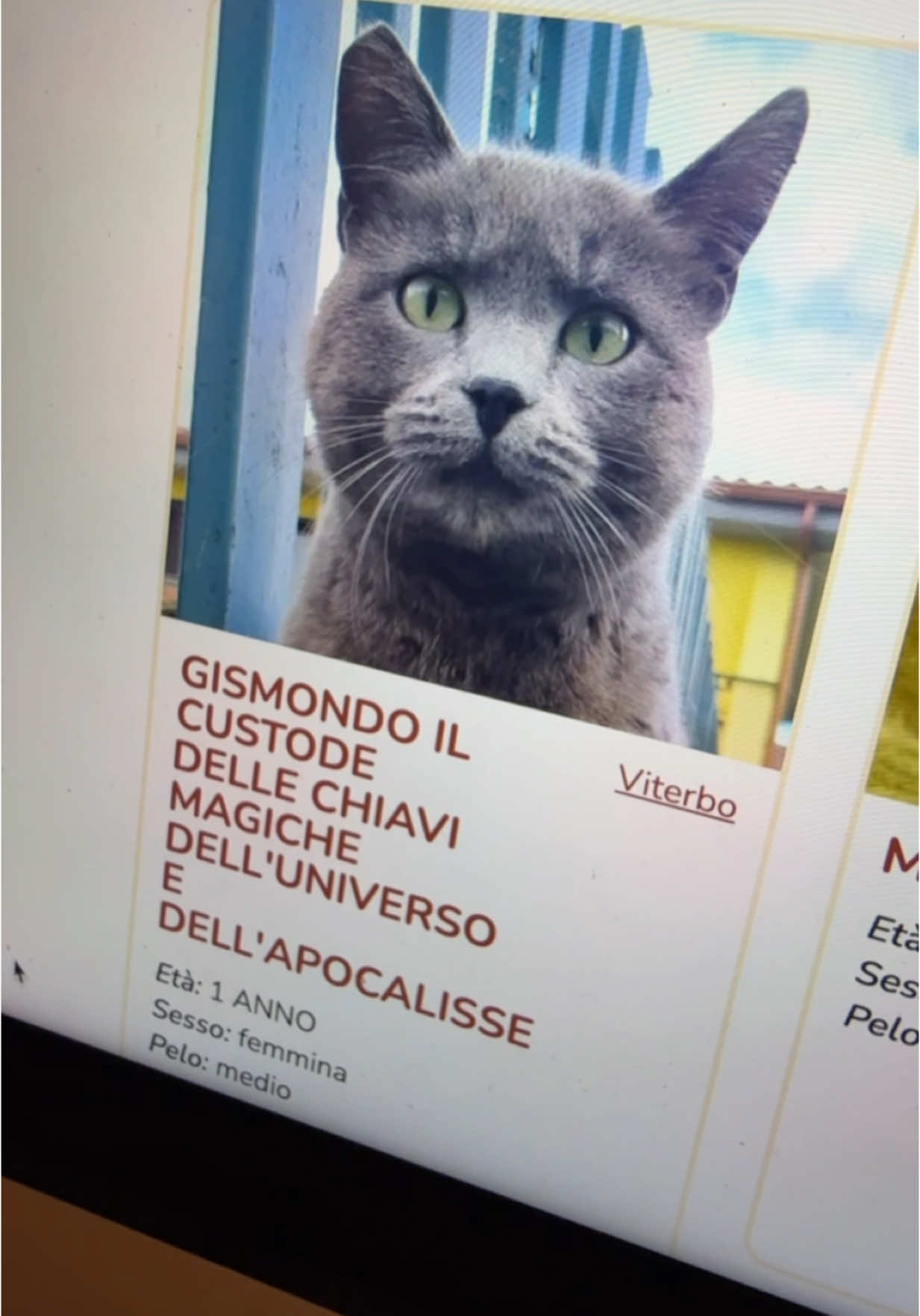 Sono tornati. 