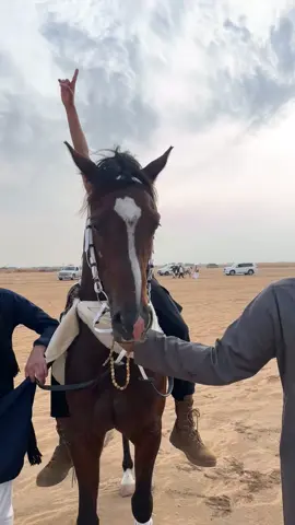سباق المراعي🥇🥇🥇#الابجر #خيل_وخياله🐎 #خيل_عربي_اصيل #الخرج #الريس 
