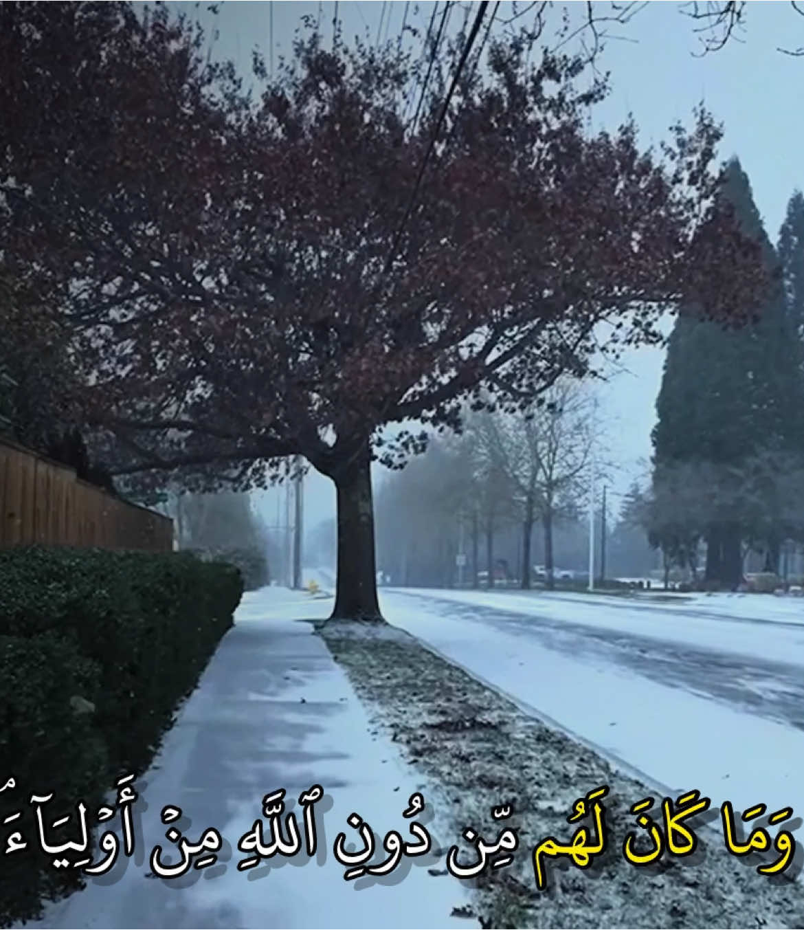﴿ أَلَا لَعۡنَةُ ٱللَّهِ عَلَى ٱلظَّٰلِمِينَ ﴾@abod | 2009  ________________________ سورة هود : ماهر المعيقلي  ________________________ #quran_kriem #quran #القران_الكريم #قران #تلاوات #تلاوات_خاشعة #ماهر_المعيقلي 