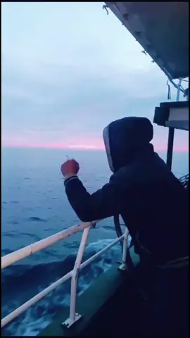 القبطان ❤️❤️ #pourtoii #البحارة_⚓ #الطبيعة #الهدوء #calm #خواطر #cap #vip #trendy #capcut_edit #تونس🇹🇳 #المغرب🇲🇦 #الجزائر🇩🇿 #مصر🇪🇬 #ليبيا🇱🇾 #قطر🇶🇦 #دبي🇦🇪 #إكسبلورر #explore #public #شعب_الصيني_ماله_حل😂😂 #مزود @NAILA❤️🤗 @spazio pizza 🍕 @Yolla Yolla @mousefir)المسافر @👑🔥عماد السريع🔥👑 