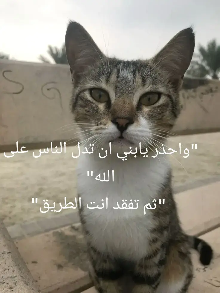 #fyp #foryoupage #عبارات 