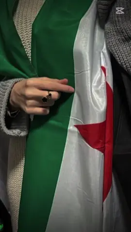 س#CapCut #فيديوهات #بدون_موسيقى #fortnite #makeup 