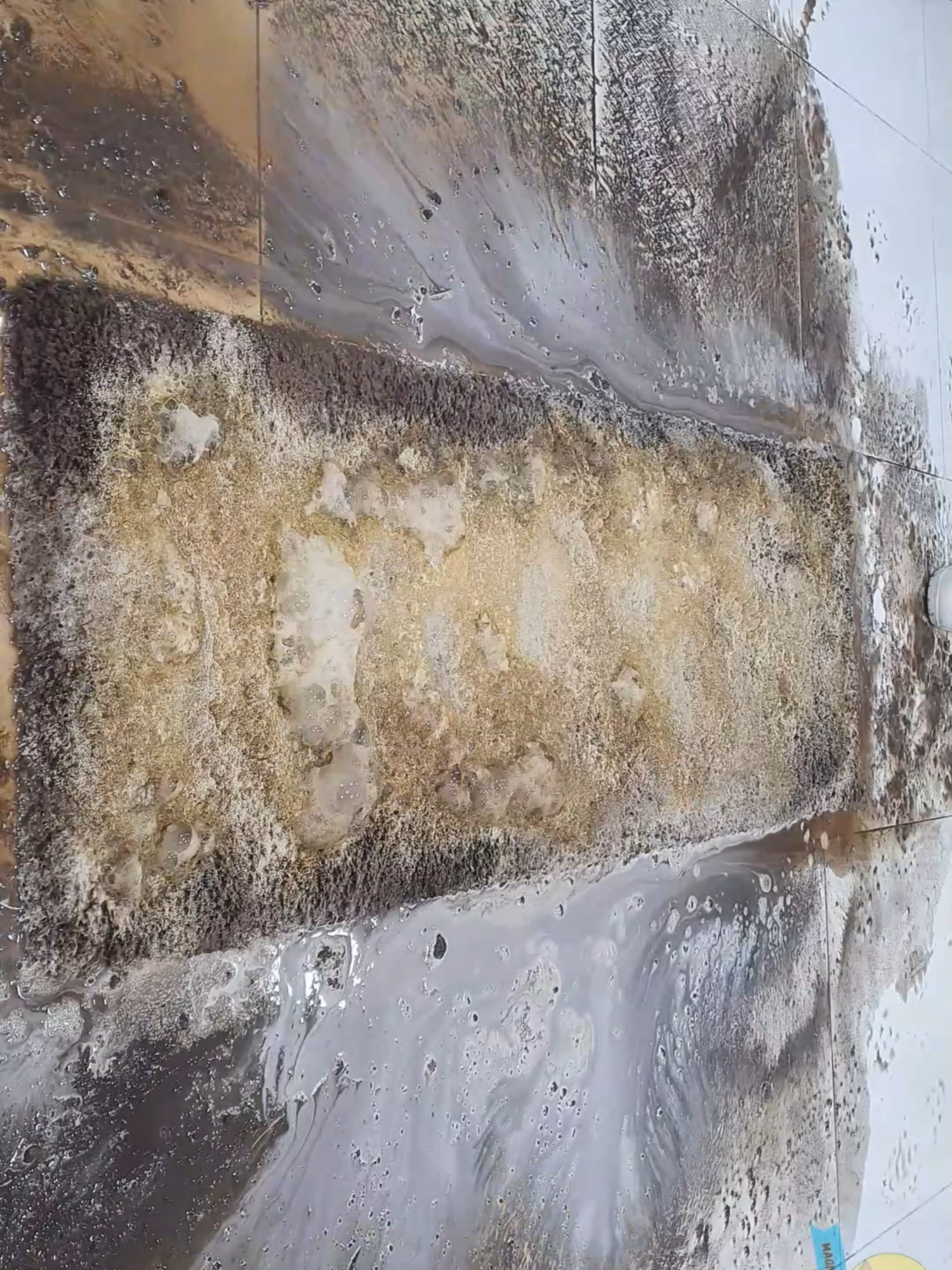 Cleaning a beautiful high pile carpet with extreme dirt #CLEANING #cleaning #asmr #asmrcleaningvideo