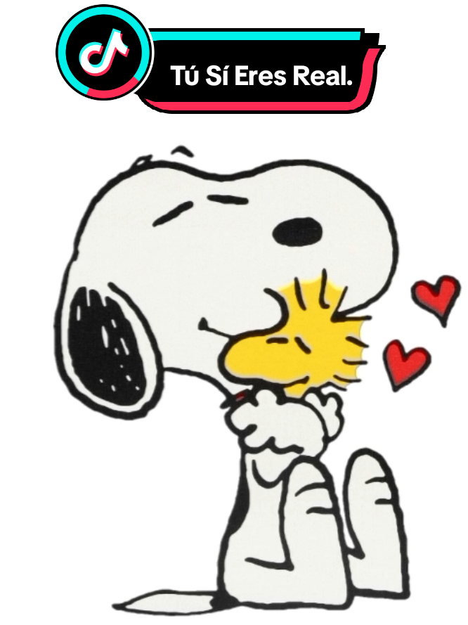 ❤️‍🩹... Tú Sí Eres Real - Kevin Kaarl.  #fyppppppppppppppppppppppp #lyrics_songs #lyrics #kevin #kevinkaarl #romantic #snoopy #folksong #fyp 