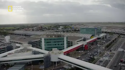 مُهرِّب_مُهم_#__أمن_المطارات#__روما_#__ناشونال_#جيوغرافيك#_أبوظبي#