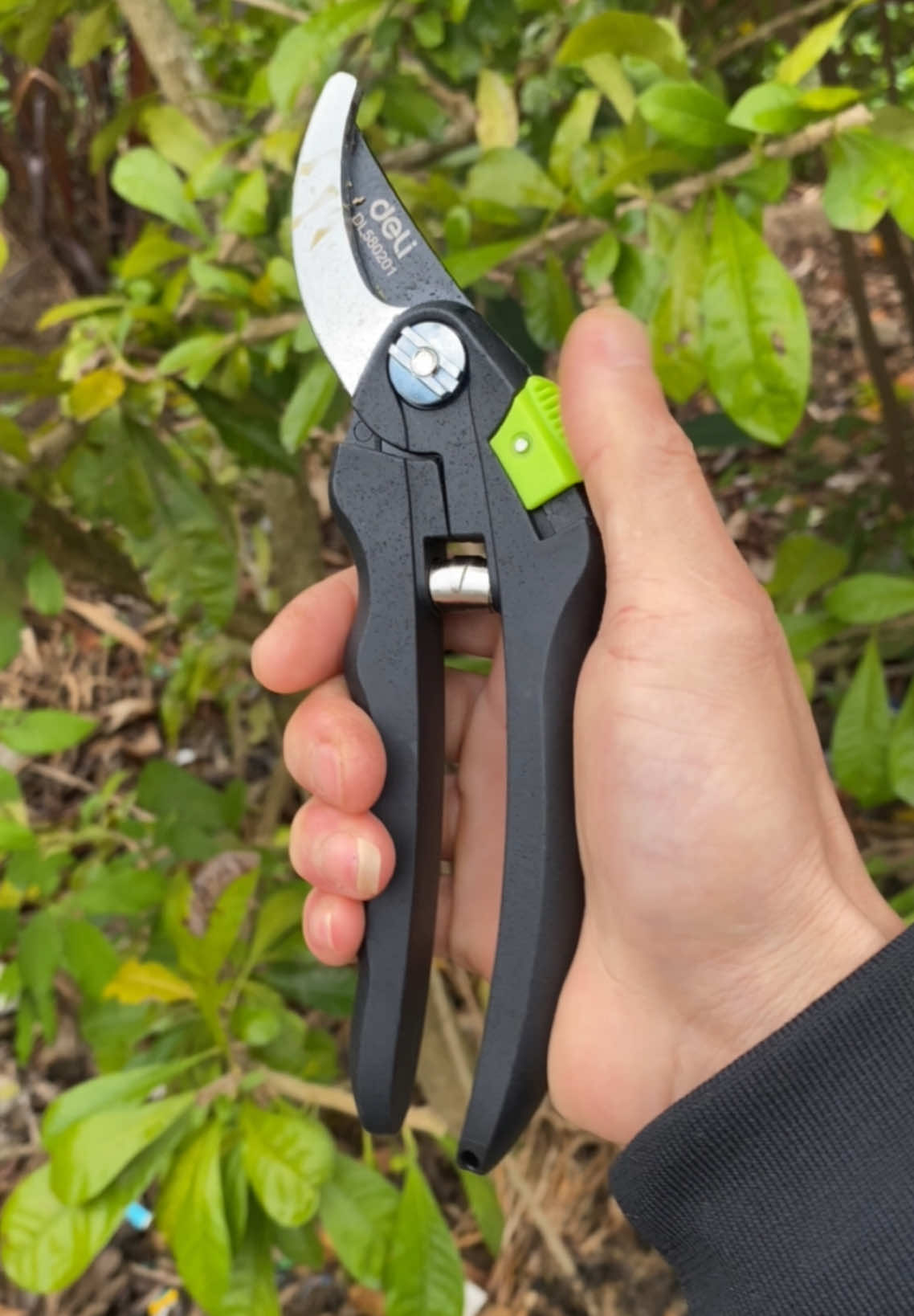 Kéo Cắt Tỉa Cành Cây Deli Chính Hãng Lưỡi Thép Không Rỉ Sắc Bén#xuhuong #giadungtienich #thinhhanh 