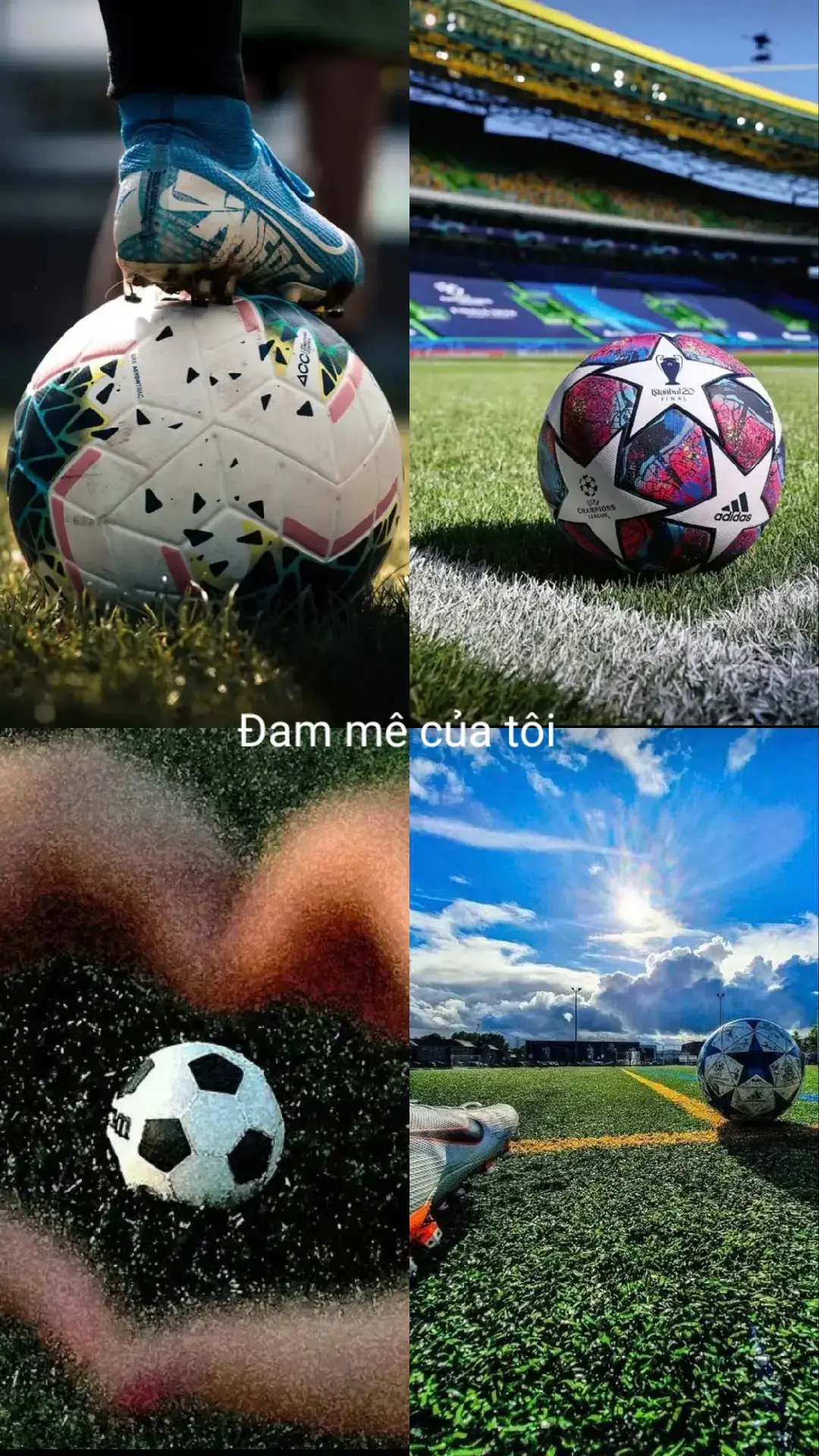 không chỉ là một trận đấu mà còn là cả hành trình để chinh phục #damme #⚽️ #bongda #xuhuong2024 #xuhuongtiktok #bongdaphui #manchestercity #mancity #vietnam #vietnamtoiyeu #manchestercityfc 