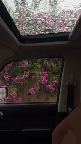 و انا اعشقك عشق المطر للصحاري 🌧️ #مطر #الاحساء #حب #شعر 