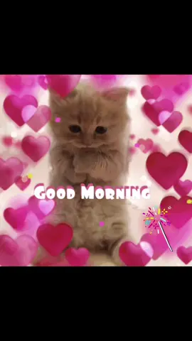 #goodmorning #pookie #loveyou #❤️ 