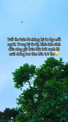 Cánh diều tuổi thơ, sách tiếng việt lớp 4 ngày ấy… #fyp #memories #thoithoau #kyuc8x9x 