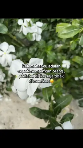 #abcxyz #fypsarawak #galaubrutal 
