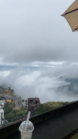 Tam Đảo 16/2/2025  #xh #yfp #tamdaovinhphuc #vairal #xuhuongtiktok 