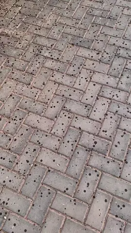 #fyp #explore #tiktokviral 