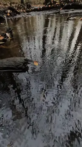 All tyranny needs to gain a foothold is for people of good conscience to remain silent - a quote