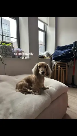 i-