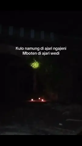 Eksplor@MAS P NGGEH KADOS NIKU#eksplore#hutan #fyp 