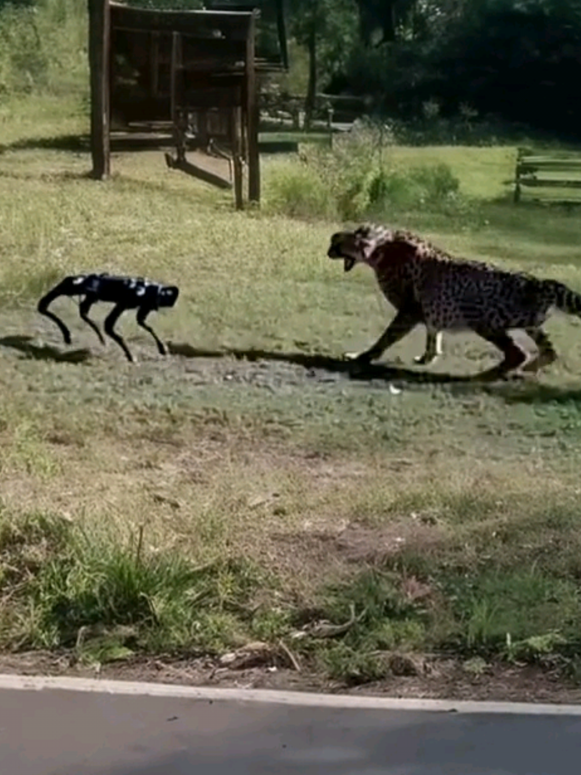 🤖vs🐆 . . . . .#funny #video #cheetah #robort #tiktok 
