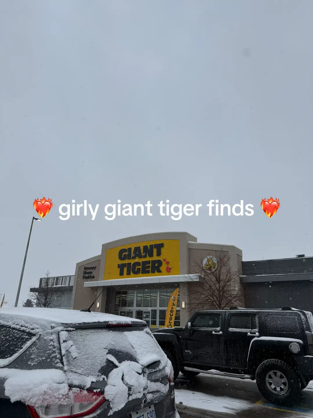 Come shopping with me at giant tiger #gianttiger #gianttigerfinds #gt #gianttigercanada #dollarspot #dollaramafinds #canadianfinds #canadiancouponer #torontolife 