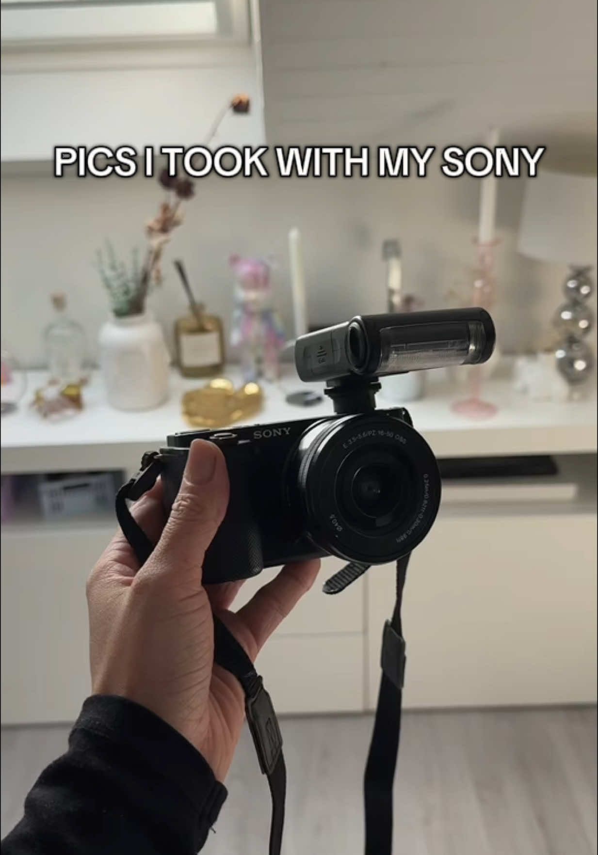 sony >>>> #sony #sonyzve10 #vlogcamera #instapics #viralcontent #sonylens 