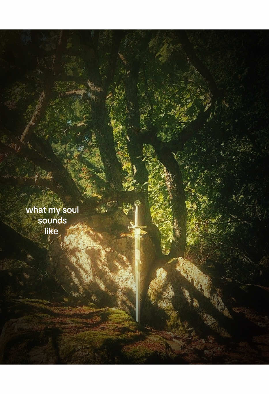 what my soul sounds like #goldenbrown #medievaltiktok #core #soul #aestheticvideos #foryoupage #foryou #fyp #haroldslaundry 