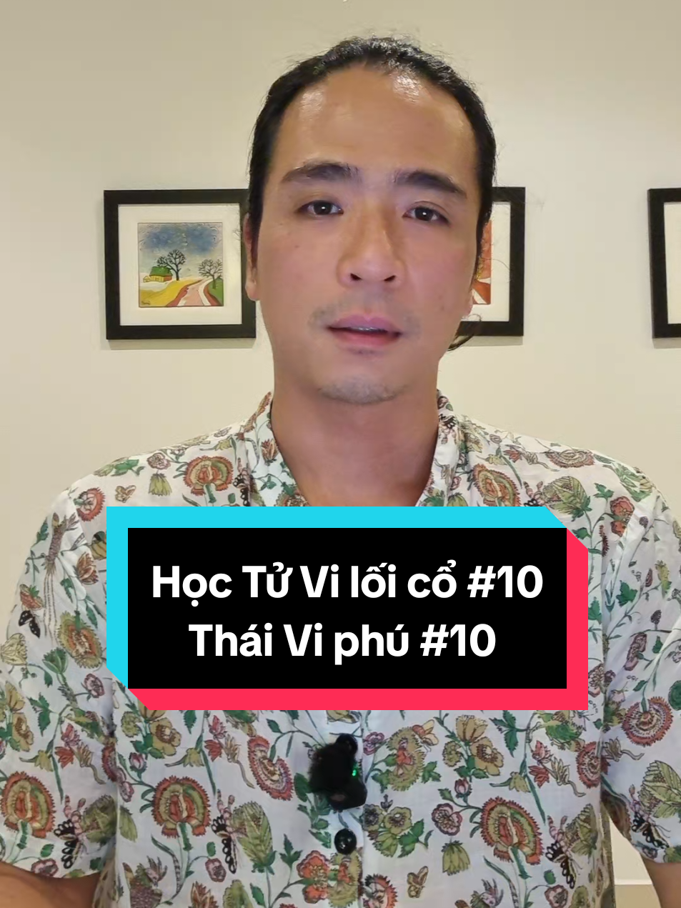 Học Tử Vi theo lối cổ 10 - Thái Vi phú 10 #tuvi101 #thaiviphu #haphong 