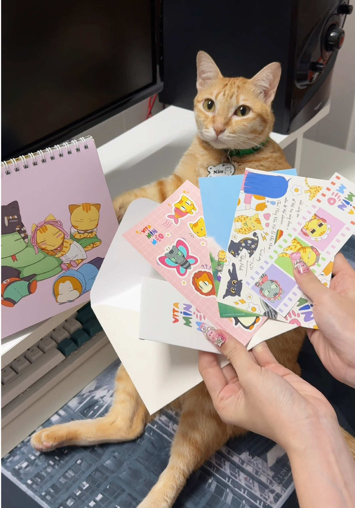 Tui với mấy nhỏ cảm ơn mọi người nhiều lắmmm. Lịch hết trơn ời mấy bạn chưa mua được đừng buồn tui nhen, hẹn cả nhà mấy đợt sau tui làm mấy cái khác dui dui nữa nhaaaa #vitaminmèo 