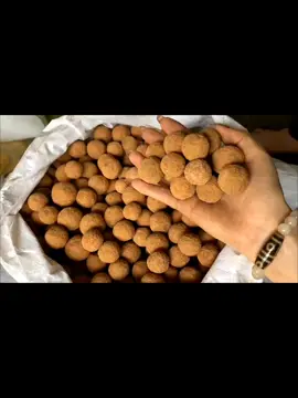 Hạt lọc aluwat #loc #locnuoc 