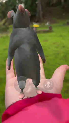 😱😱😱😱😱😱😱😱😱😱#trending #rat #Running