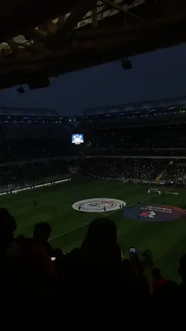 TEK AŞK @Fenerbahçe SK 💛💙 #fenerbahçe💛💙 #fenerbahçe #fenerbahce #fenerbahçem #fenerbahcem #enbüyükfener 