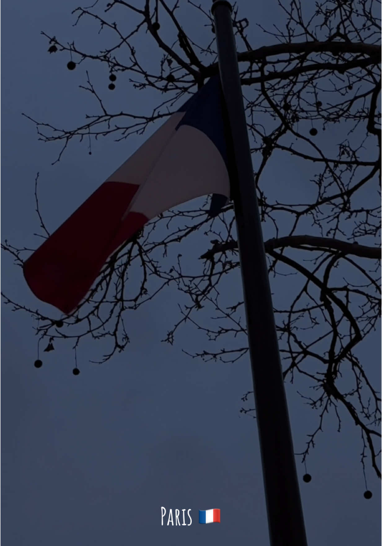 🇫🇷 #paris #CapCut #fyp #paris #travel #creatorsearchinsights 