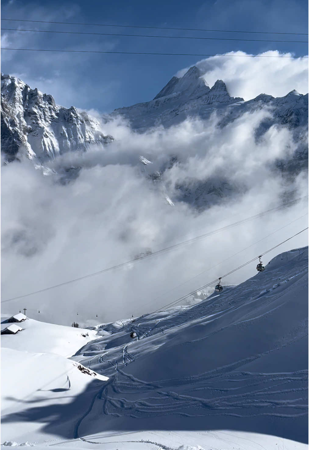 Skiing in the Swiss alps #swissalps #skiing #grindewald #jungfrau #switzerland #foryou #fyp #foryoupage #cieestudyabroad #cieeambassadorabroad #indianauniversity @CIEE Study Abroad @Indiana University 