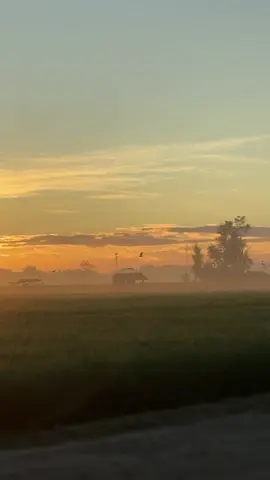 good morning #countryside #province #bukid 