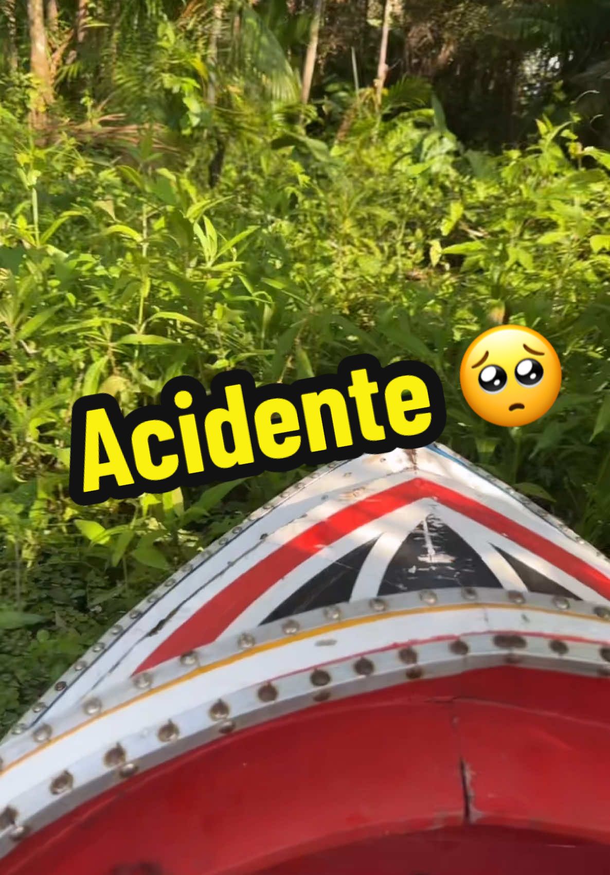 Entramos para meio da mata #viral 