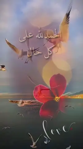 #CapCut#الحمدالله_علی_کل_حال❤ 