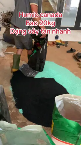 Humic canada bao 20kg dạng vảy, tan nhanh, hiệu quả tức thì. #xuhuong #saurieng #caphe #caytrong #cayantrai 