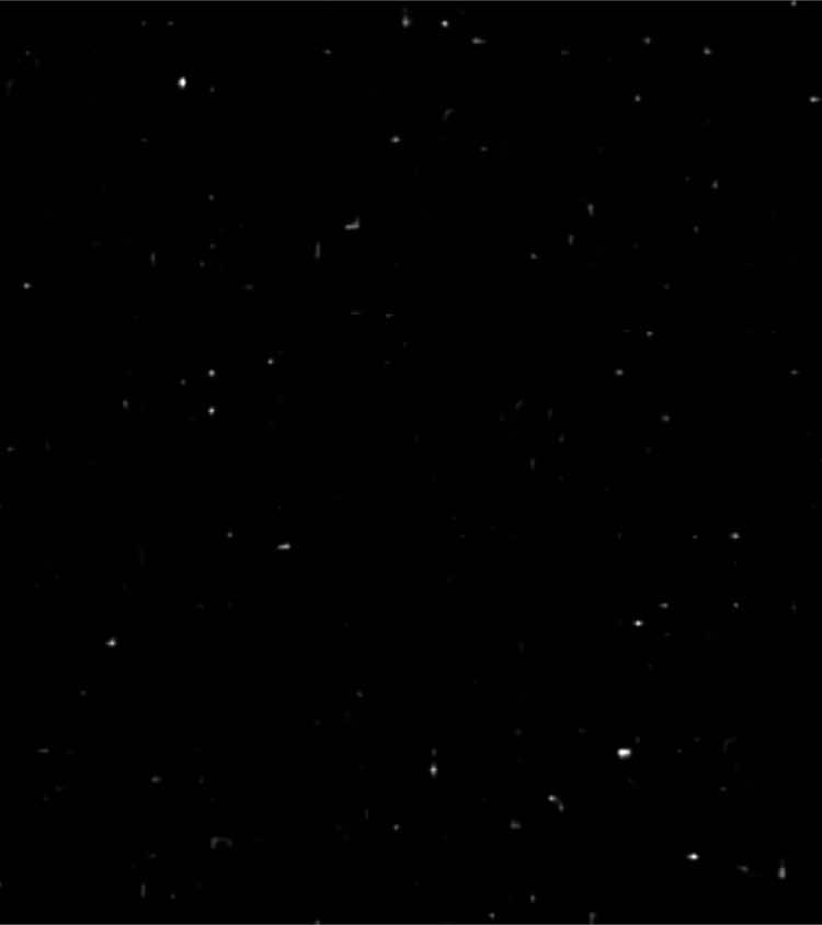 Esse flow do tavin 😶 | #rimas #bda #batalhas 