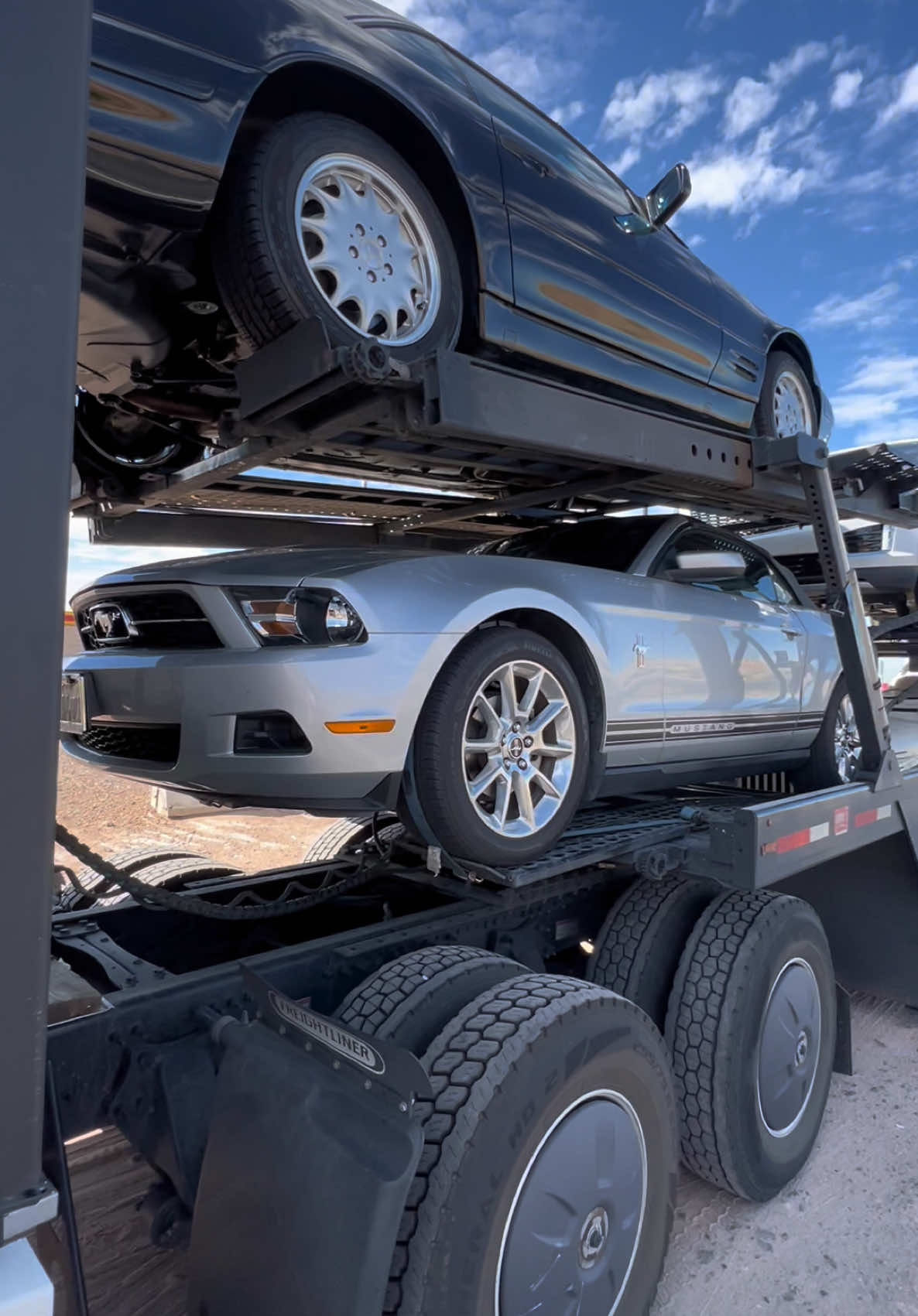 Fully loaded 8 cars Carhauler trailer #carhauler #trucking 